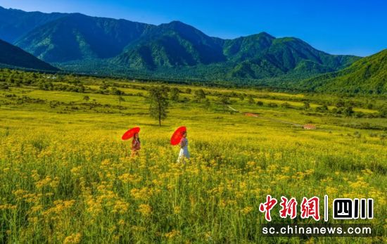 孟获城景区花海。周万龙 摄 孟获城景区花海。周万龙 摄
