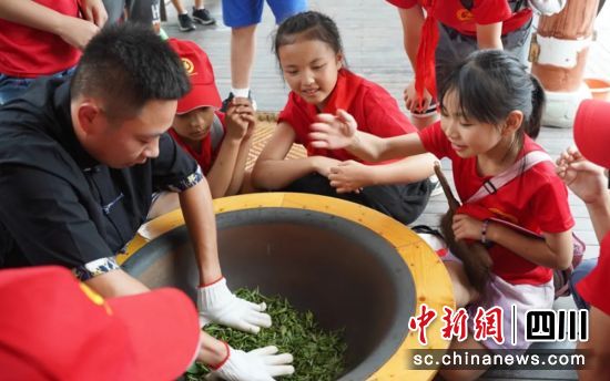 感受手工制茶。雨城融媒 供图 感受手工制茶。雨城融媒 供图