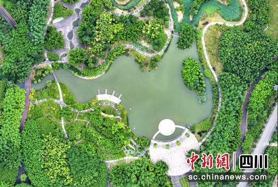 青神湿地公园一角。古良驹 摄 青神湿地公园一角。古良驹 摄