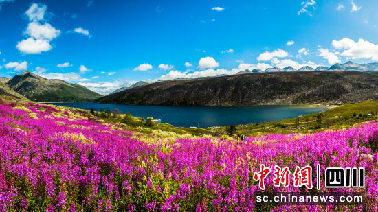 康定情歌景区一览。(康定情歌景区 供图) 康定情歌景区一览。(康定情歌景区 供图)