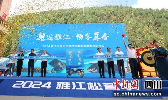 雅江松茸开市仪式现场。雅江融媒供图 雅江松茸开市仪式现场。雅江融媒供图