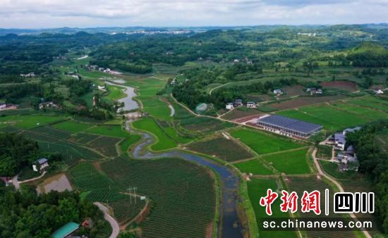“帅府粮仓”粮经统筹示范区一角。姚阳 摄 “帅府粮仓”粮经统筹示范区一角。姚阳 摄