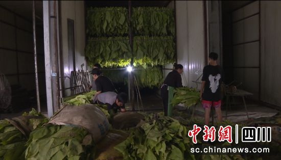 正在忙碌。蒋镜东 摄 正在忙碌。蒋镜东 摄
