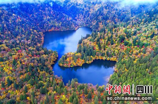 九寨沟风光。九寨沟县委宣传部供图 九寨沟风光。九寨沟县委宣传部供图