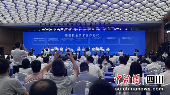 签约仪式。 杨勇 摄 签约仪式。 杨勇 摄