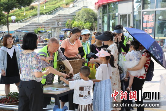 市民领取荔枝。合江县融媒体中心供图 市民领取荔枝。合江县融媒体中心供图
