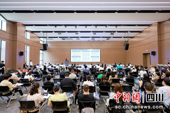 对接会现场。新经济发展研究院iNED供图 对接会现场。新经济发展研究院iNED供图