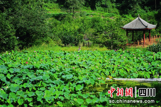 罗圈岩村岭上盛境景区一角。刘旭 摄 罗圈岩村岭上盛境景区一角。刘旭 摄