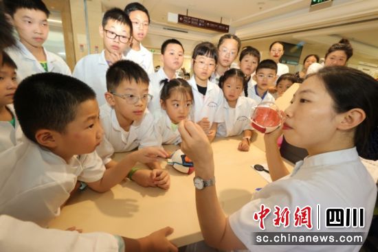 孩子们了解眼球结构 。李太辉 摄 孩子们了解眼球结构 。李太辉 摄