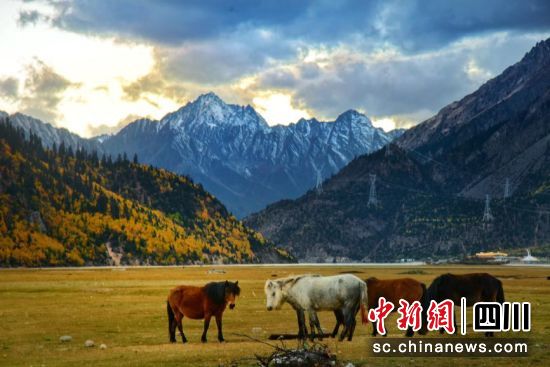 八宿美景。(八宿县人民政府 供图) 八宿美景。(八宿县人民政府 供图)