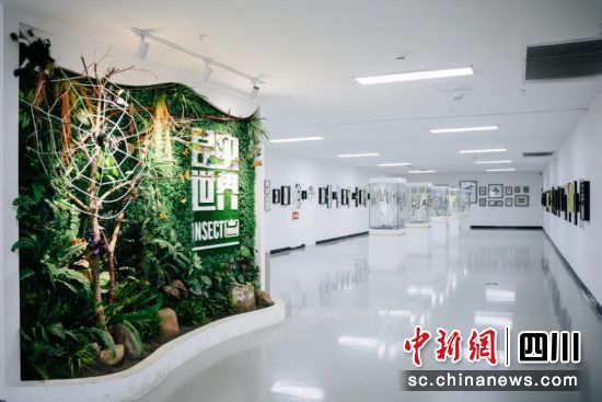 四川活体昆虫博物馆。郫都区融媒体中心 供图 四川活体昆虫博物馆。郫都区融媒体中心 供图