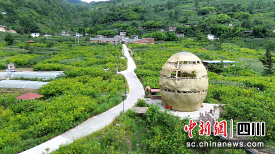 桑旅融合产业园。 绵竹市融媒体中心供图 桑旅融合产业园。 绵竹市融媒体中心供图