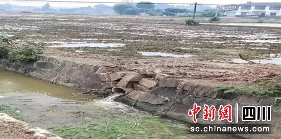 破损的过水涵洞。 罗江区金山镇供图 破损的过水涵洞。 罗江区金山镇供图