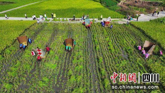 比赛现场。龙婧 摄 比赛现场。龙婧 摄