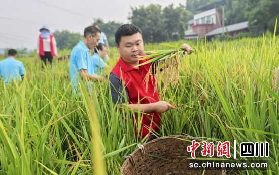 助收现场。梁人之 供图 助收现场。梁人之 供图