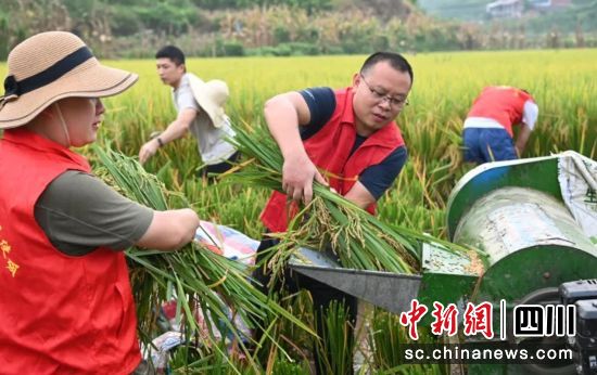 助收现场。梁人之 供图 助收现场。梁人之 供图