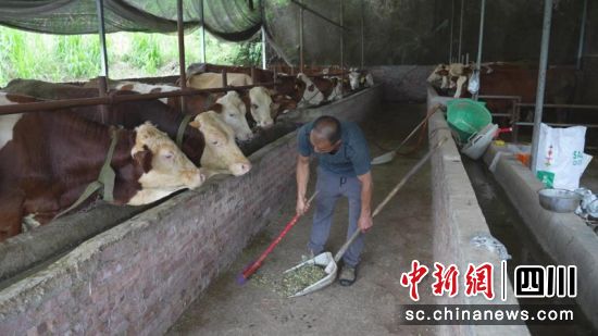 王德前的牛棚。李媛媛 摄 王德前的牛棚。李媛媛 摄