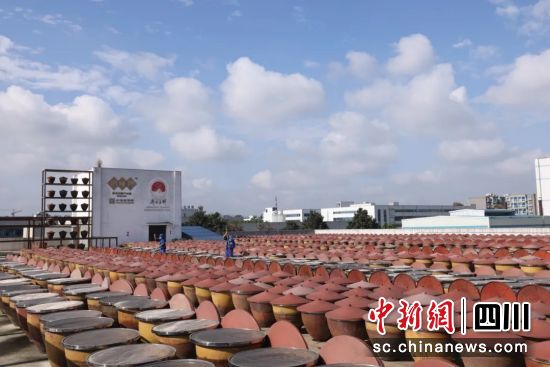郫县豆瓣。郫都区融媒体中心 供图 郫县豆瓣。郫都区融媒体中心 供图