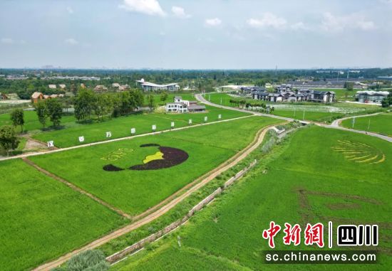 汉康乡村振兴示范走廊。郫都区融媒体中心 供图 汉康乡村振兴示范走廊。郫都区融媒体中心 供图