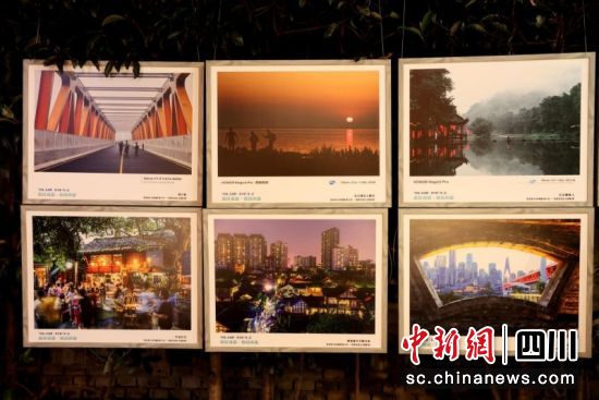 夜展现场。陈静 摄 夜展现场。陈静 摄