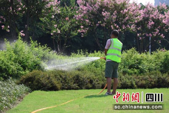 正在进行人工喷水。刘怡 摄 正在进行人工喷水。刘怡 摄