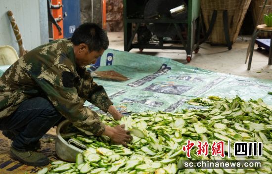 “佛手柑”鲜果切片。石棉融媒 供图 “佛手柑”鲜果切片。石棉融媒 供图