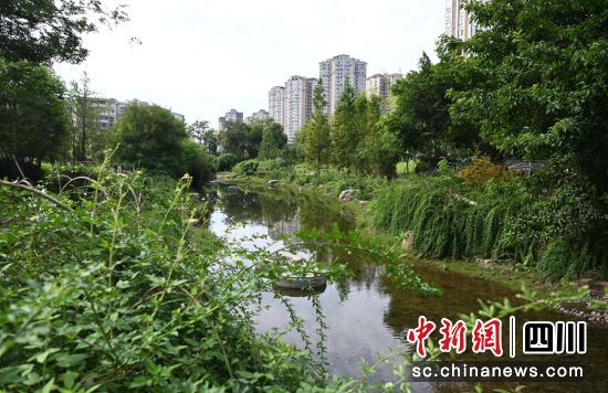 天宇湿地公园。梁人之 供图 天宇湿地公园。梁人之 供图