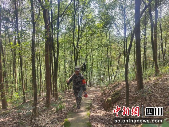 何勇在巡山。龙马潭区委统战部供图 何勇在巡山。龙马潭区委统战部供图