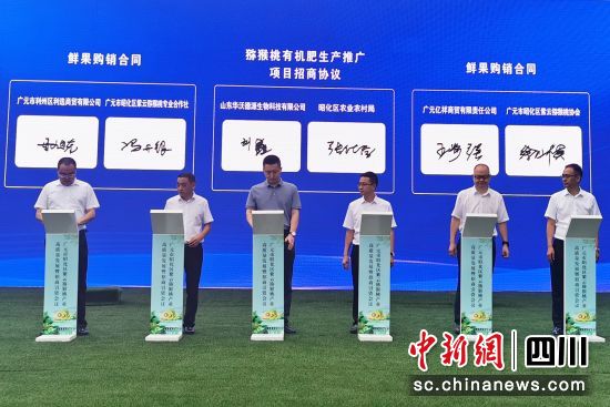 签约仪式现场。苗志勇 摄 签约仪式现场。苗志勇 摄