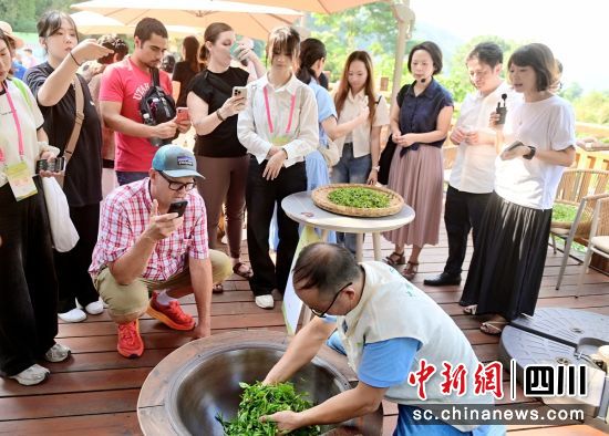 手工制茶现场。荣县融媒 供图 手工制茶现场。荣县融媒 供图