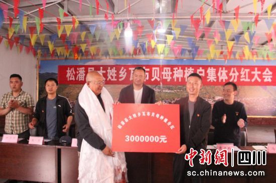 分红现场。松潘县委组织部供图 分红现场。松潘县委组织部供图