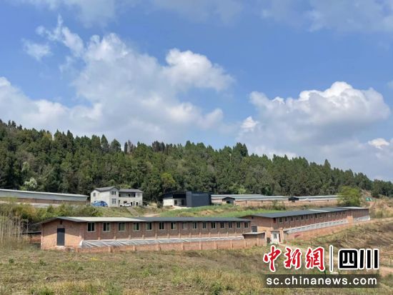 简阳市沐风养殖专业合作社。 简阳融媒体中心 供图 简阳市沐风养殖专业合作社。 简阳融媒体中心 供图