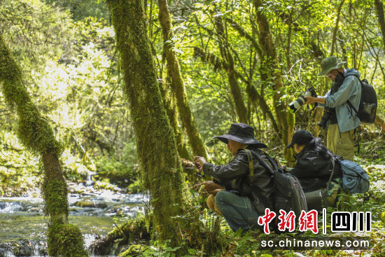 文艺家创作现场。 黑水县文联供图 文艺家创作现场。 黑水县文联供图