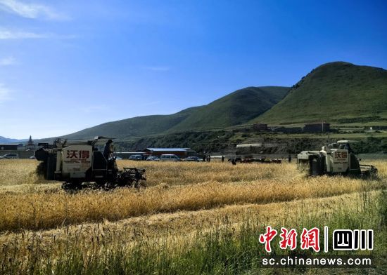 收割机在田间作业。王廷妮摄 收割机在田间作业。王廷妮摄