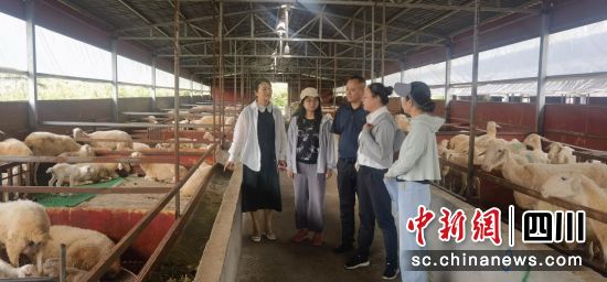 专家团队走进养殖场指导。田建国摄 专家团队走进养殖场指导。田建国摄