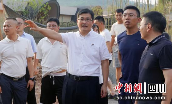 调研督导现场。雨城融媒 供图 调研督导现场。雨城融媒 供图