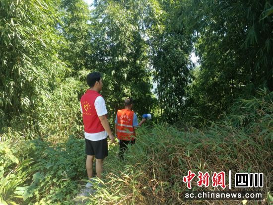 税一高日常巡山。合江县融媒体中心供图 税一高日常巡山。合江县融媒体中心供图