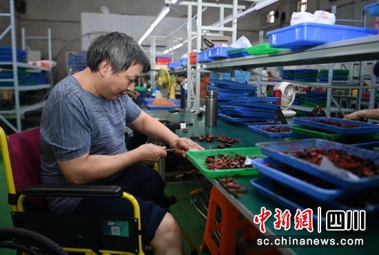 在蓬安县周口街道磨子西街社区一家电子元件厂,当地一名残疾人正在车间赶制订单。周亮 摄 在蓬安县周口街道磨子西街社区一家电子元件厂,当地一名残疾人正在车间赶制订单。周亮 摄