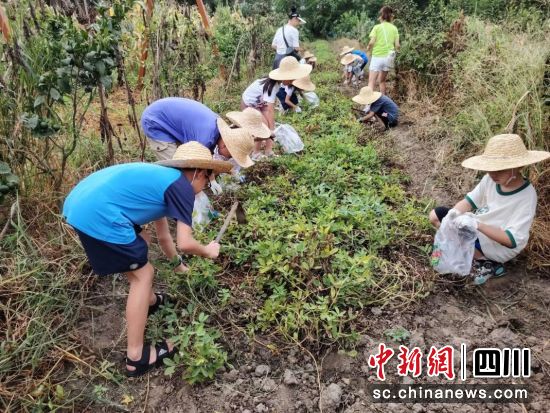 活动现场。 什邡市妇联供图 活动现场。 什邡市妇联供图