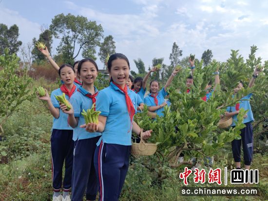 泸州市中小学生劳动实践基地里的“开学第一课”。合江县融媒体中心供图 泸州市中小学生劳动实践基地里的“开学第一课”。合江县融媒体中心供图