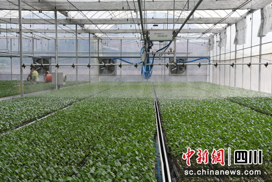 威远高科技工厂现场。徐静 摄 威远高科技工厂现场。徐静 摄