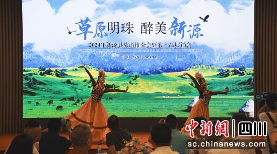 推介会现场。新源县文旅局 供图 推介会现场。新源县文旅局 供图