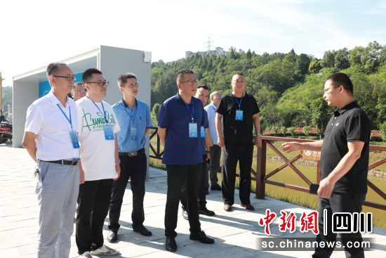 游仙区政协助力芙蓉溪流域生态环境改善。 游仙区政协供图 游仙区政协助力芙蓉溪流域生态环境改善。 游仙区政协供图