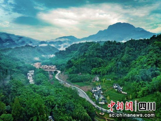 十里芳菲·野玫瑰村全景图。陆佩珥摄 十里芳菲·野玫瑰村全景图。陆佩珥摄