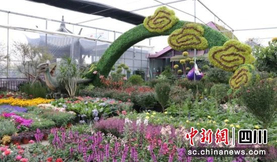 郫都区春天花乐园。郫都区融媒体中心 供图 郫都区春天花乐园。郫都区融媒体中心 供图