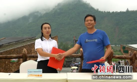 签约现场。芦山融媒 供图 签约现场。芦山融媒 供图