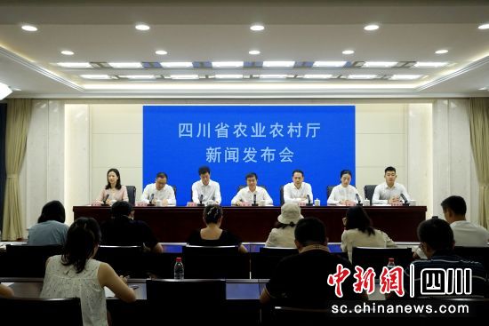 四川省农业农村厅19日召开新闻发布会,介绍四川第二届“村BA”总决赛有关情况。陈选斌 摄 四川省农业农村厅19日召开新闻发布会,介绍四川第二届“村BA”总决赛有关情况。陈选斌 摄