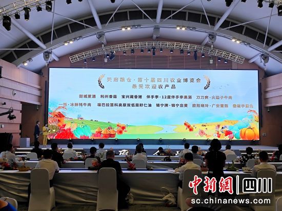 颁奖现场。陈选斌 摄 颁奖现场。陈选斌 摄