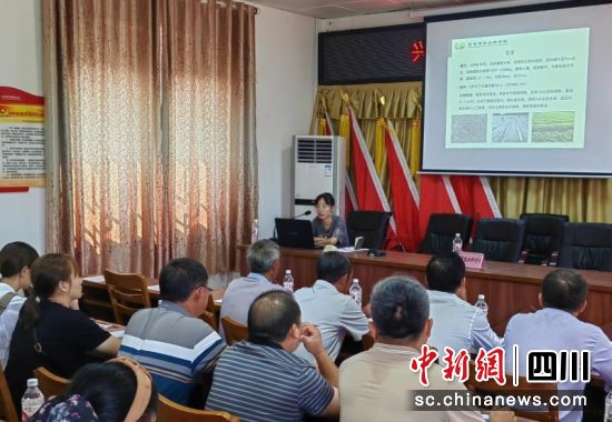正在给大家讲解。伍欧 摄 正在给大家讲解。伍欧 摄