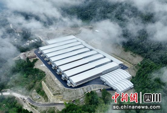 蛋鸡养殖基地。 平武县委宣传部供图 蛋鸡养殖基地。 平武县委宣传部供图